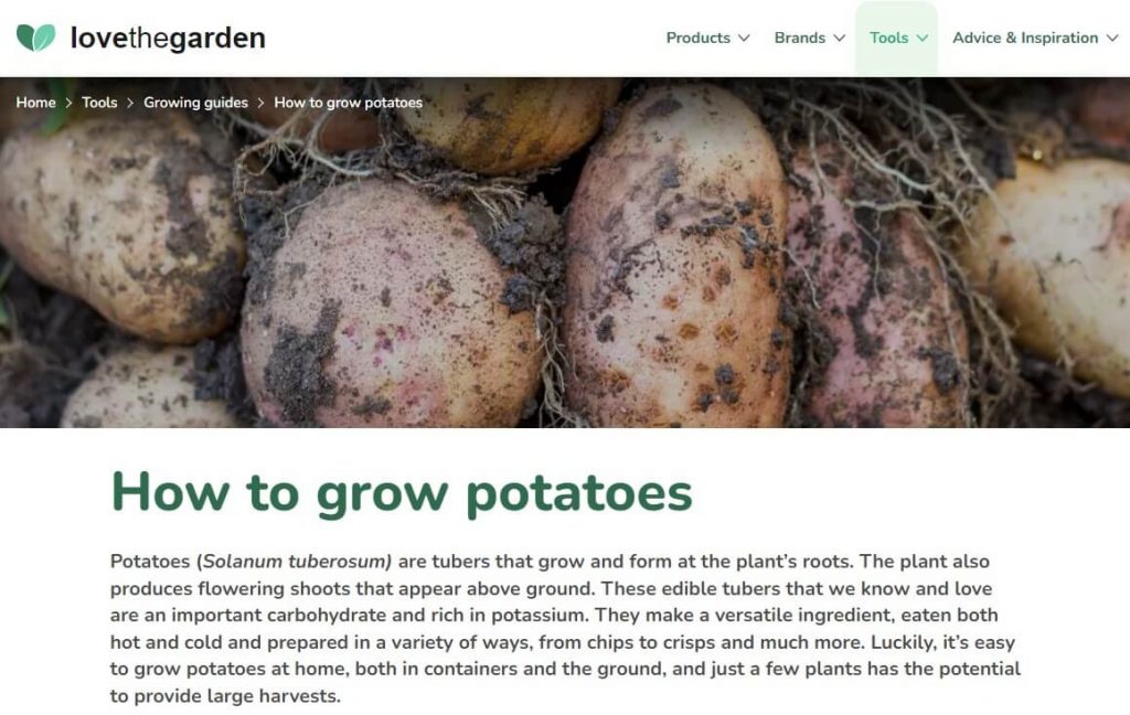 patates nasıl yetiştirilir blogu